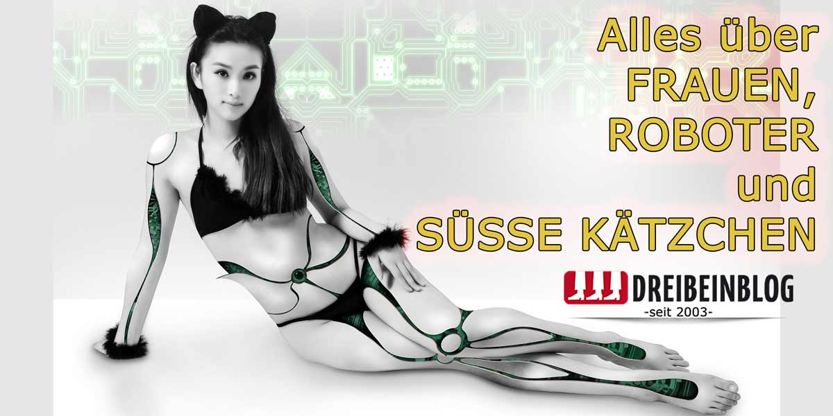 dreibeinslider-katze