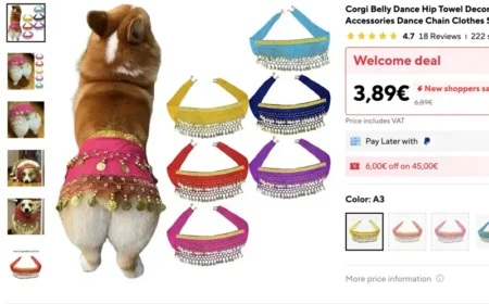 Bauchtanz für Hunde