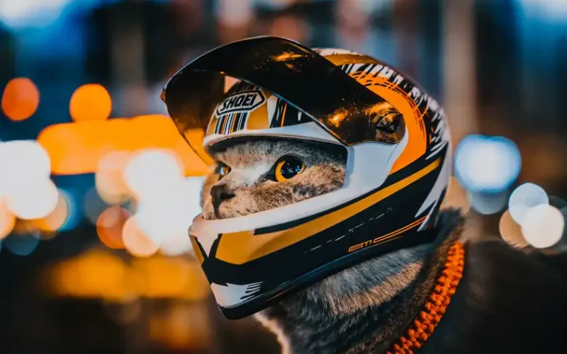 Ketze helm