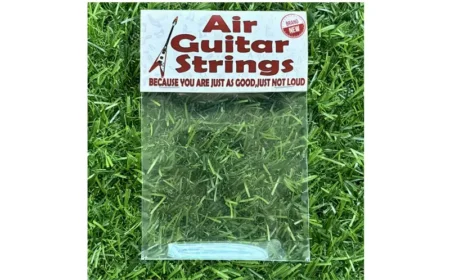 Airguitar 800x500