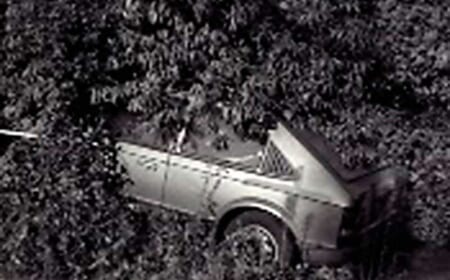 Die Natur holt es sich