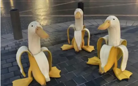 Die Bananenente – Produkte, die die Welt nicht braucht