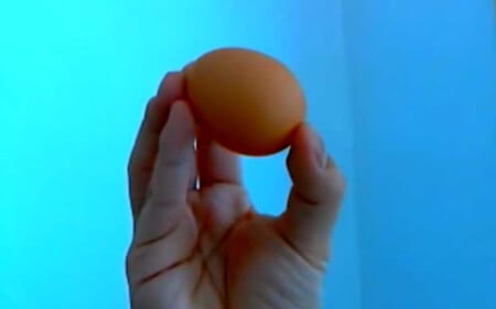 Lebensmittel-Skandale