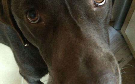 Hunger – Ich habe immer so einen großen Hunger