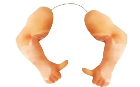 Ich wollt, ich wär kein Huhn