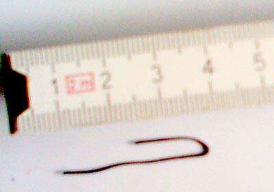 Fremdkörper in ALDI-Produkten