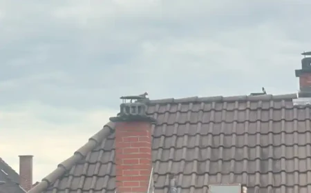 Mein neuer Freund