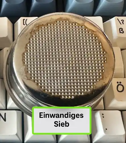 Einwandig