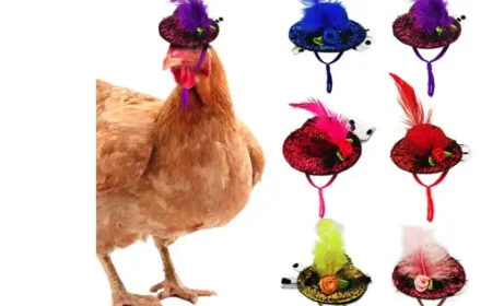 Das ewige Huhn