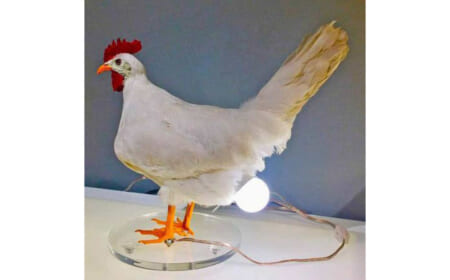Die LED-Revolution: Sparen oder Verschwenden?