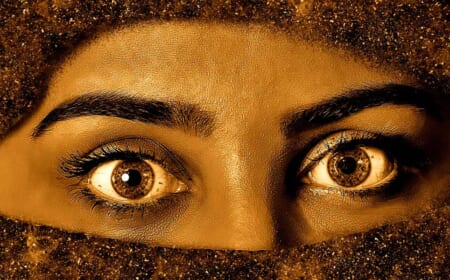 Der Islam gehört nicht zu Deutschland – das wird man doch mal sagen dürfen