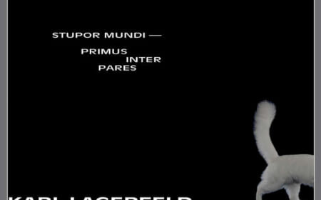 Gute Reise, Karl! Die Welt verabschiedet sich von Karl Lagerfeld