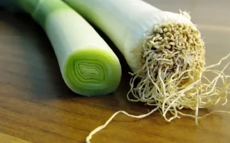 Lecker Lauch