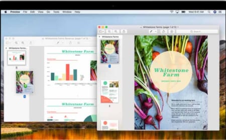 Warum man JPG in PDF konvertieren sollte
