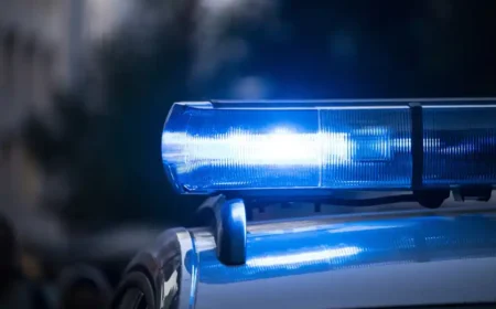 Polizei erschießt 49-Jährigen halbnackten Mann in Mannheim-Schönau – aktualisiert