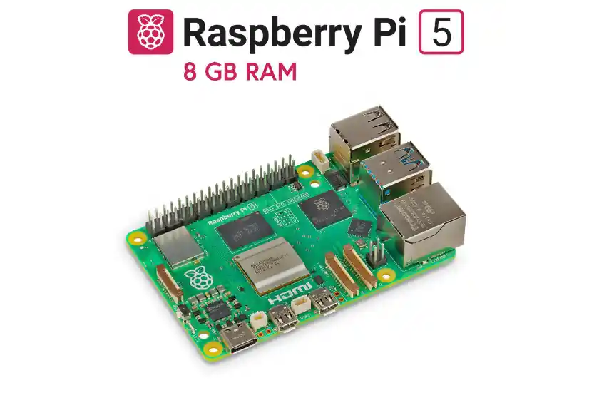 Raspberry 5