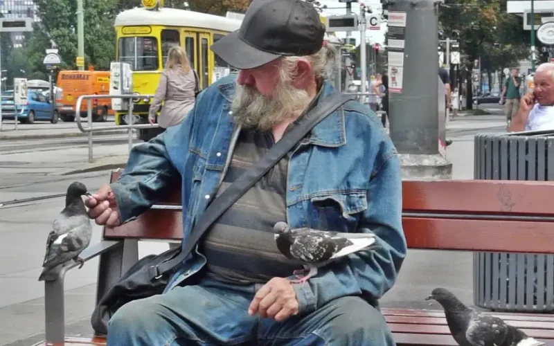 EIn alter Mann sitzt auf einer Bank und füttert Tauben