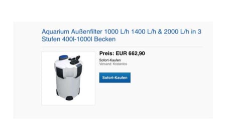Warum manche Artikel bei Ebay so teuer sind