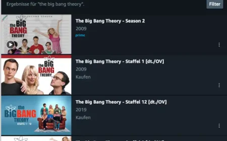The Big Bang Theory – Auf Netflix und Amazon verschwunden?