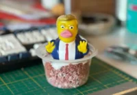 Trumpduck 800x500