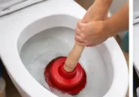 Verstopfungen beseitigen