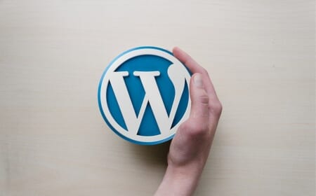 Kategoriename im WordPress-Blog ausgeben